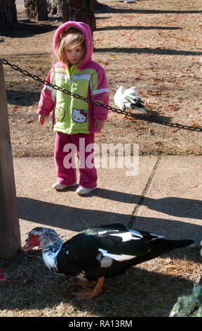 Noelle Smith alimenta le anatre a Highland Park a Meridian, Mississippi. Foto Stock