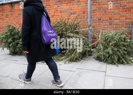 Una persona è vedere a piedi passato gli alberi di Natale che sono oggetto di pratiche di dumping sul marciapiede nel nord di Londra appena quattro giorni dopo il giorno di Natale. Foto Stock