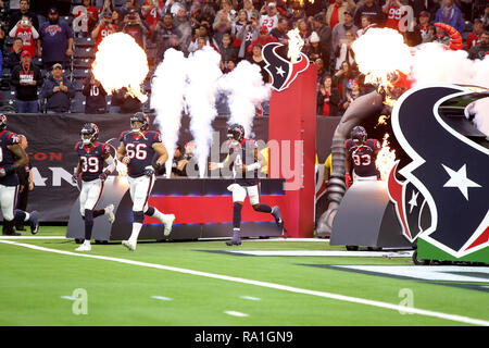 Houston, Stati Uniti d'America. Il 30 dicembre 2018. Houston Texans entrano in campo durante le presentazioni pregame prima della NFL stagione regolare il gioco tra la Houston Texans e Jacksonville Jaguars a NRG Stadium di Houston, TX su dicembre 30, 2018. Credito: Erik Williams/ZUMA filo/Alamy Live News Foto Stock