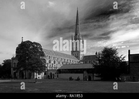 Vista estiva di Norwich Cathedral e Norwich City, contea di Norfolk, Inghilterra, Regno Unito Foto Stock