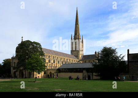 Vista estiva di Norwich Cathedral e Norwich City, contea di Norfolk, Inghilterra, Regno Unito Foto Stock