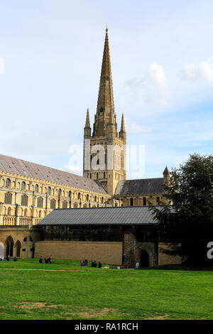 Vista estiva di Norwich Cathedral e Norwich City, contea di Norfolk, Inghilterra, Regno Unito Foto Stock