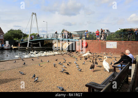 Imbarcazioni da diporto sul fiume Bure a Wroxham cittadina nel Norfolk Broads, Norfolk, Inghilterra, Regno Unito Foto Stock