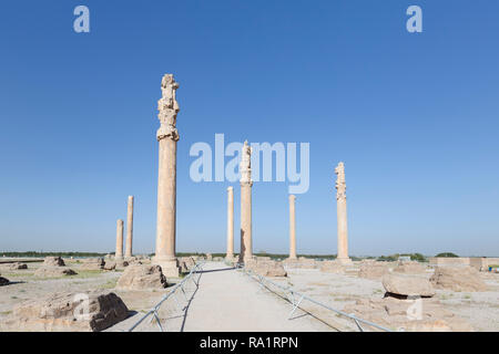 Il palazzo Apadana, Persepolis, Iran Foto Stock