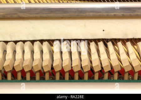 Una vista ravvicinata di martelli di legno sul loro gambi, in un pianoforte verticale strumento, nella parte anteriore delle stringhe, appena sotto il soft mute (sordino) panno di feltro Foto Stock