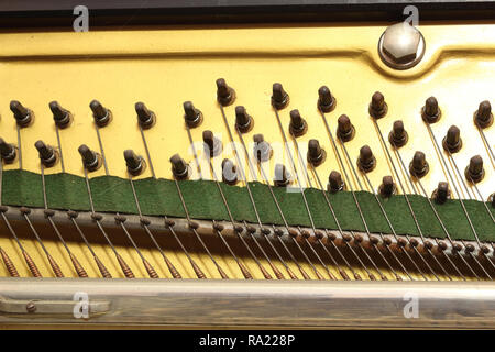 Una vista ravvicinata della piastra di un pianoforte verticale dello strumento musicale, con i perni di attacco utilizzati per la messa a punto delle stringhe, che passa sopra il ponte Foto Stock