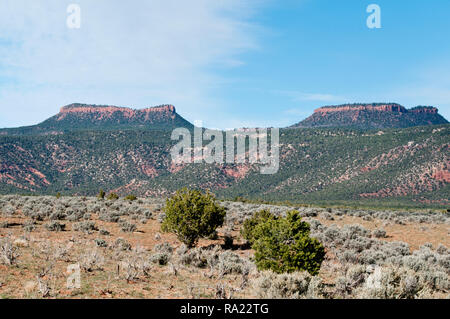 Porta le orecchie in porta orecchie monumento nazionale nella Contea di San Juan in SE USA Utah Foto Stock