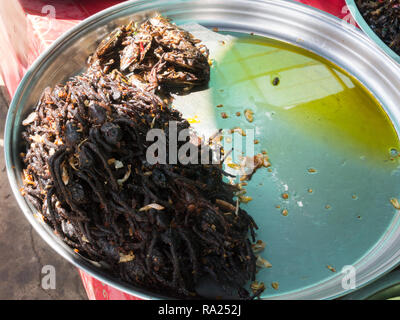 Piastra del profondo fritto tarantulas e i grilli per la vendita in città Skuon internazionalmente rinomato mercato Cambogia Asia noto anche come spider Village Foto Stock