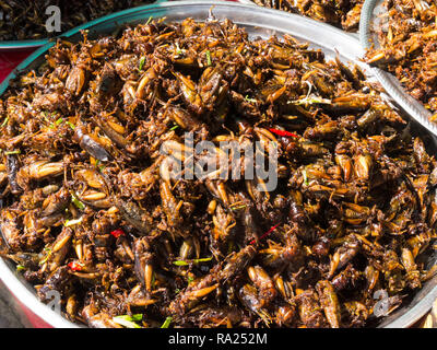 Piastra del profondo cavallette fritte in vendita in Skuon del mercato della città a livello internazionale mercato rekown Cambogia Asia noto anche come spider Village Foto Stock