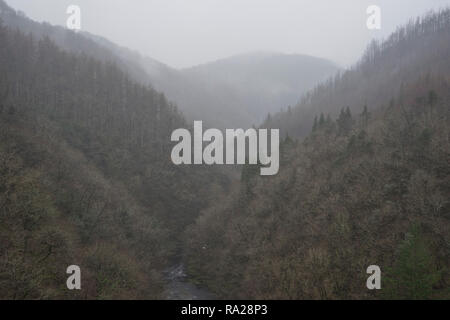 Vista della foresta dal Ponte del Diavolo cade (Pontarfynach) vicino a Aberystwyth,Ceredigion,Galles,UK Foto Stock