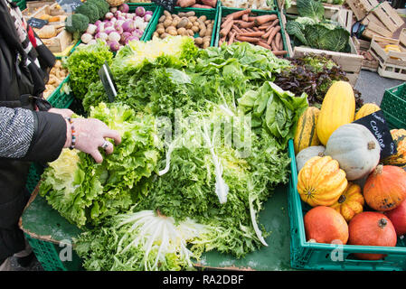 Verde insalata di verdure indivia scarola nella donna la mano a un mercato di generi alimentari. Femmina sceglie il cibo sano Foto Stock