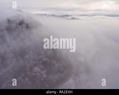 Foto aerea di fitta nebbia che copre il forest hill in inizio di mattina di paesaggio. Foto Stock