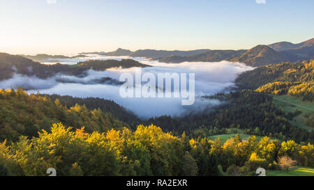 Foto aerea di fitta nebbia che copre la foresta e il lago di prima mattina paesaggio. Foto Stock