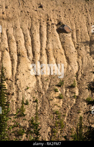 WA15625-00...WASHINGTON - Erosione il modellamento della collina sopra l'Inter Forcella del Fiume Bianco visto dal ghiacciaio di Bacino Trail in Mount Rainier Foto Stock