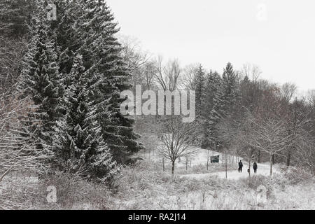 Le persone camminare o correre attraverso il Springbank Park a Londra, Ontario Canada dopo una nevicata fresca riguardava il parco nel bianco della neve. Foto Stock