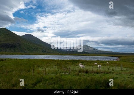 Vista panoramica delle montagne e laghi delle Highlands scozzesi in Assynt Coigach Foto Stock