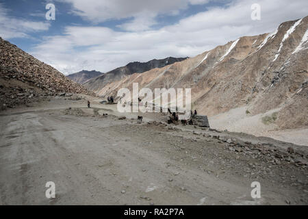 Strada di Montagna tra Leh e Valle di Nubra. Nelle vicinanze passano più alta nel mondo Khardung La, Ladakh, Jammu e Kashmir, India, luglio 18, 2018. (CTK Foto Stock