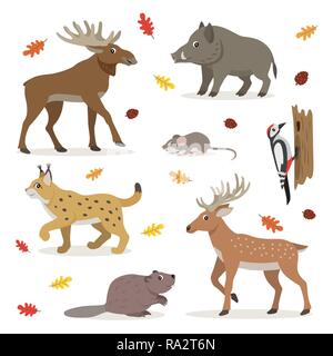 Set di bosco animali selvaggi isolati su sfondo bianco Illustrazione Vettoriale