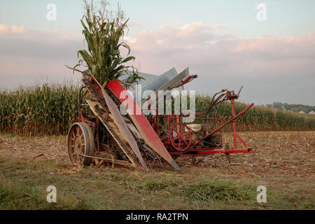 Paradise, PA, Stati Uniti d'America - 1 Ottobre 2014: completare con le ruote in acciaio, una raccolta di mais macchina realizzati da agricoltori Amish e tirato da muli attende l'uso in un f Foto Stock
