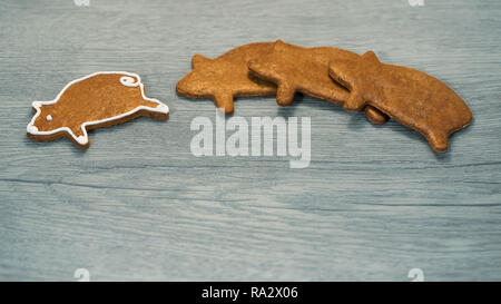 Fragranti gingerbread piggy per buona fortuna su uno sfondo di legno. A forma di maiale i cookie con un singolo leader della classifica indipendenti. Concetto di successo e leadership. Foto Stock