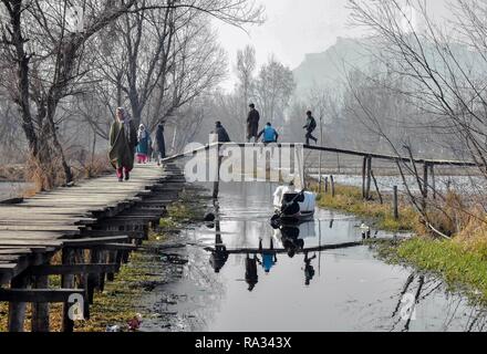 Srinagar, India. 31 Dic, 2018. Un generale visto negli interni del dal Lago in un freddo giorno di Srinagar, Indiano Kashmir amministrato. Grave ondata di freddo nuovamente afferrato valle del Kashmir il lunedì, il tempo di carica detto. Secondo un funzionario del dipartimento ha incontrato la temperatura minima è stata meno 6,6 gradi Celsius a Srinagar. Valle del Kashmir è passante attraverso i quaranta giorni di lungo periodo di duro inverno freddo conosciuta come 'Chillai Kalan'. Credito: SOPA Immagini limitata/Alamy Live News Foto Stock