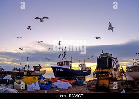 Hastings East Sussex, Regno Unito. 1 gennaio 2019. I gabbiani girano sulle barche da pesca di Hastings all'alba il giorno di Capodanno. Hastings, con 25 barche in funzione, ha una delle più grandi flotte di imbarcazioni da pesca lanciate in spiaggia in Europa. Alba invernale Foto Stock