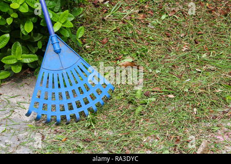 Scopa blu in plastica in un giardino Foto Stock