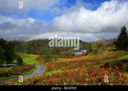 Autunno rainbow su Tarn Hows, Parco Nazionale del Distretto dei Laghi, Cumbria, England, Regno Unito Foto Stock