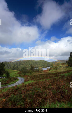 Autunno rainbow su Tarn Hows, Parco Nazionale del Distretto dei Laghi, Cumbria, England, Regno Unito Foto Stock
