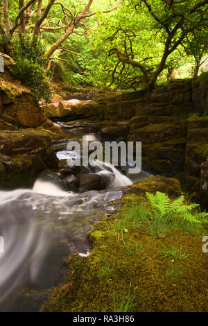 Acqua corrente del fiume Avon preso a Shipley Bride in primavera/estate; Dartmoor National Park; Devon; Regno Unito - lunga esposizione Foto Stock