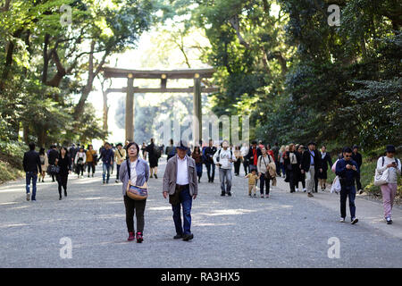 Il Tempio di Meiji, Yoyogi Park Harayuku, Tokyo Giappone (明治神宮, Meiji Jingū) - visitatori a torii gate lungo le boscose approccio al Tempio di Meiji, Foto Stock