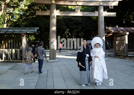 Lo Shintoismo sposa che indossa il tradizionale watabōshi cappa bianca in posa con lo sposo in Meiji Jingu sacrario scintoista Foto Stock