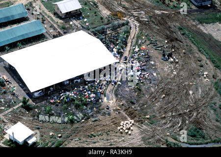 1978 - Una vista aerea dei corpi delle vittime della tragedia di Jonestown. US Army personale da Fort Bragg, North Carolina (NC), stanno posizionando il rimane nel corpo sacchetti. Foto Stock