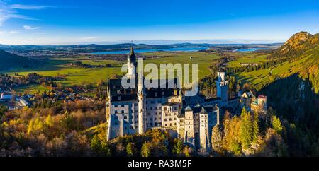 Drone shot, il Castello di Neuschwanstein in autunno, Forggensee nel retro, Schwangau, Ostallgäu, Algovia, Svevia, Alta Baviera Foto Stock