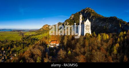 Drone shot, il Castello di Neuschwanstein in autunno, Forggensee nel retro, Schwangau, Ostallgäu, Algovia, Svevia, Alta Baviera Foto Stock