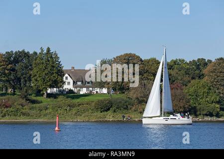 Barca a vela sul Schlei, Rabel, Rabelsund, Schleswig-Holstein, Germania Foto Stock