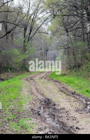 Profonde tracce di pneumatici giù per una strada fangosa in una foresta Foto Stock