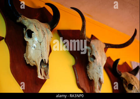 MERIDA, YUC/MESSICO - Nov 13, 2017: Bull teschi decorazioni a parete Foto Stock