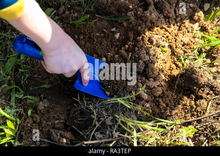 Bambino di piantare semi nel terreno Foto Stock