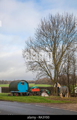 I viaggiatori che vivono in una di tipo tradizionale cavallo Romany gypsy caravan fermato sull'erba orlo a lato della strada per i loro cavalli al pascolo Foto Stock