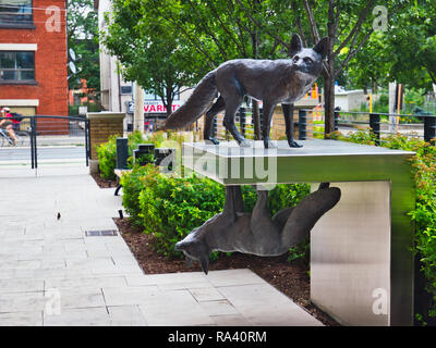 In bronzo a grandezza fox sculture di Eldon Garnet parte di un'installazione scultorea chiamato inversione, James Cooper Mansion, Toronto, Ontario, Canada Foto Stock