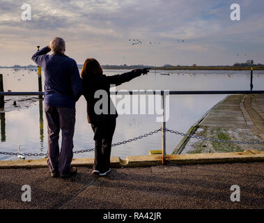 Bassa marea a Bosham porto vicino a Chichester, West Sussex Regno Unito. Un giovane che si affaccia sul fiume. Foto Stock