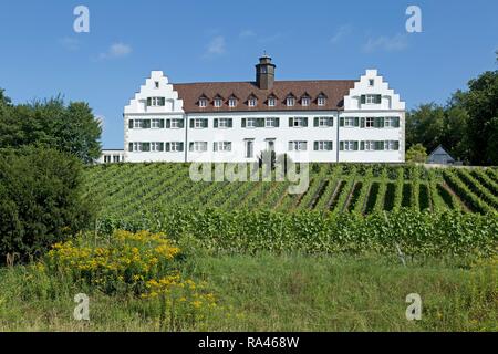 Schloss Hersberg con vigneto, Immenstaad, Lago di Costanza, Baden-Württemberg, Germania Foto Stock