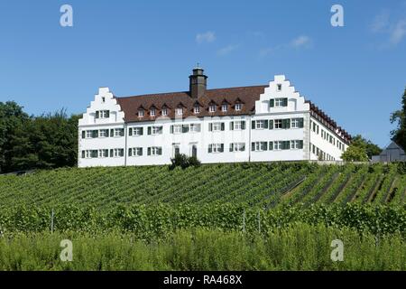Schloss Hersberg con vigneto, Immenstaad, Lago di Costanza, Baden-Württemberg, Germania Foto Stock