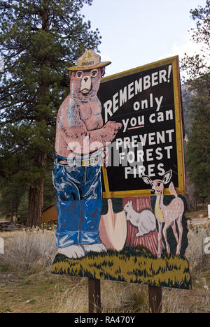 Smokey Bear segno, 'Ricorda, solo tu puoi prevenire gli incendi boschivi,' all'entrata del Monte Charleston Wilderness Area nel sud del Nevada. Foto Stock