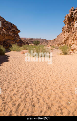 Canyon Colorato a Nuweiba Dahab Egitto . Canyon Colorato è una formazione rocciosa sulla penisola del Sinai. Si tratta di un labirinto di rocce, alcuni di loro hanno circa 40 Foto Stock