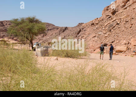 Canyon Colorato a Nuweiba Dahab Egitto . Canyon Colorato è una formazione rocciosa sulla penisola del Sinai. Si tratta di un labirinto di rocce, alcuni di loro hanno circa 40 Foto Stock