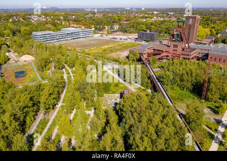 Eredità di Mondo Zeche Zollverein a Essen, Zollverein Park, ex Gleis Boulevard, albero posteriore 1/2/8 e Folkwang Università di Foto Stock