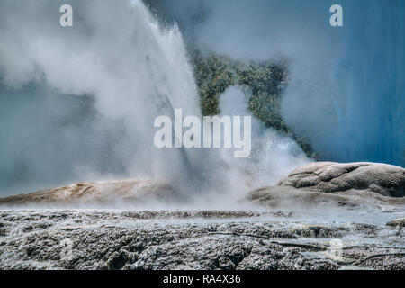 Pohutu geyser eruzione in close-up. Te Puia riserva termale di Rotorua valle geotermale, Nuova Zelanda Foto Stock