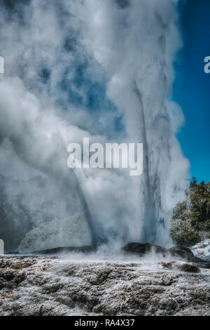 Fontana verticale di eruttando geyser in Nuova Zelanda geotermica Parco Nazionale Foto Stock